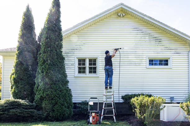 Best Building Exterior Washing  in Kenhorst, PA